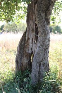 A Lesson of Hope Image